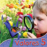 Valores 5 - Click Image to Close
